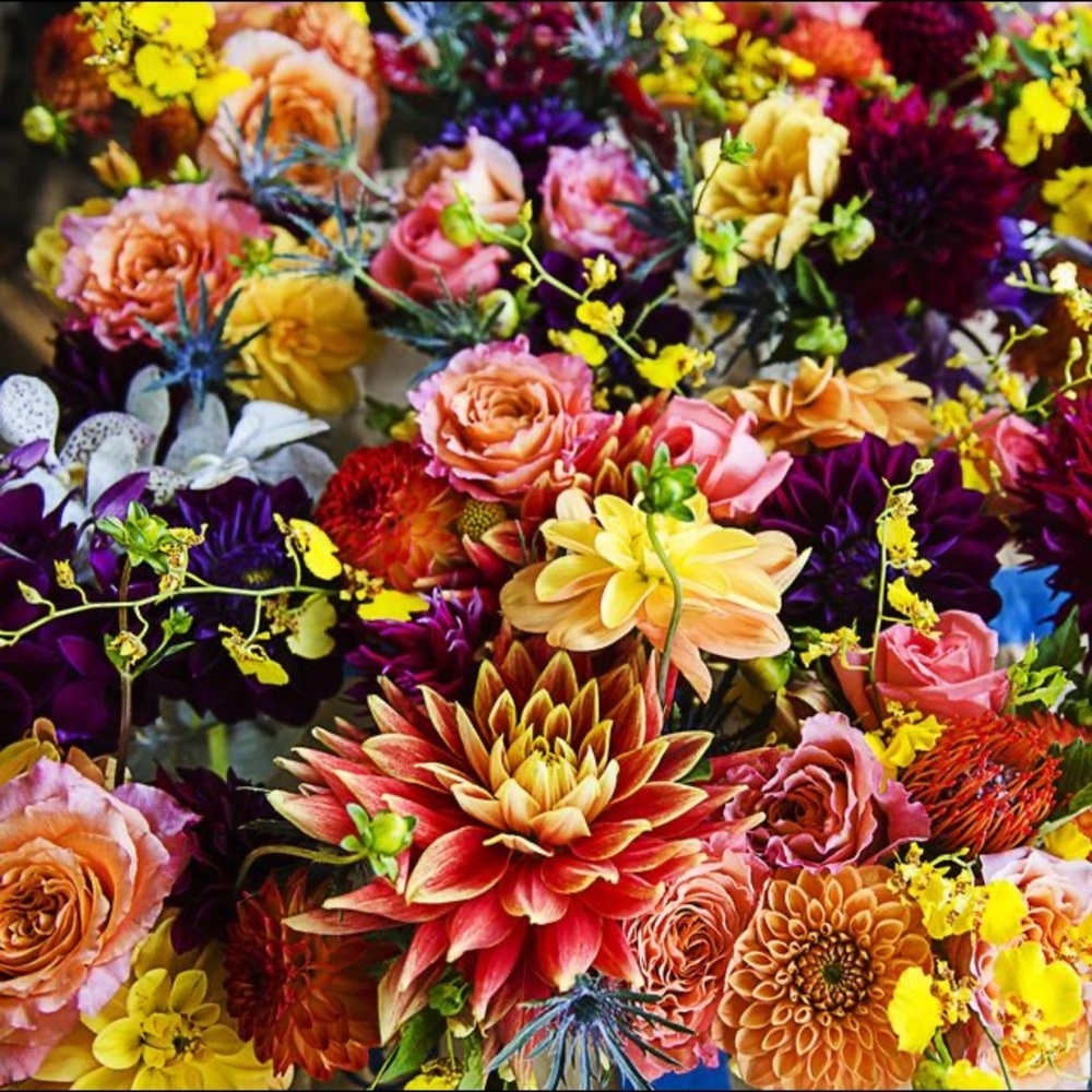 Meet your Posher, Pari